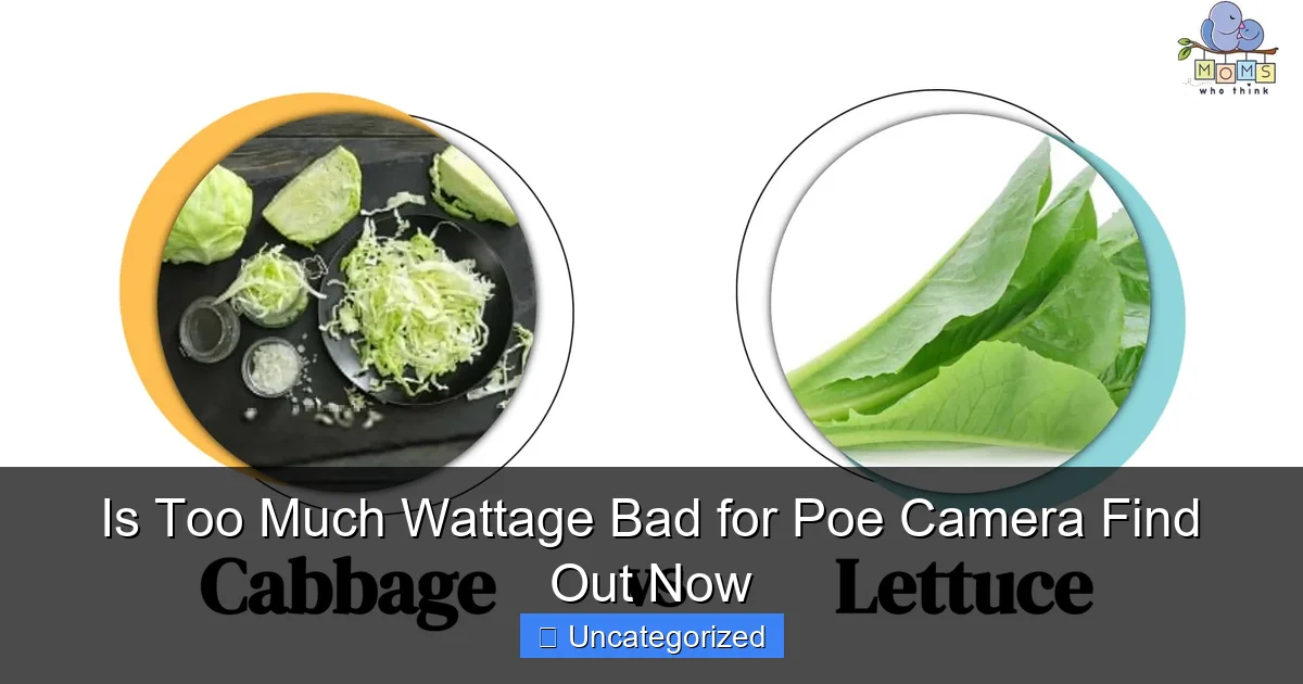 Is Too Much Wattage Bad for Poe Camera Find Out Now