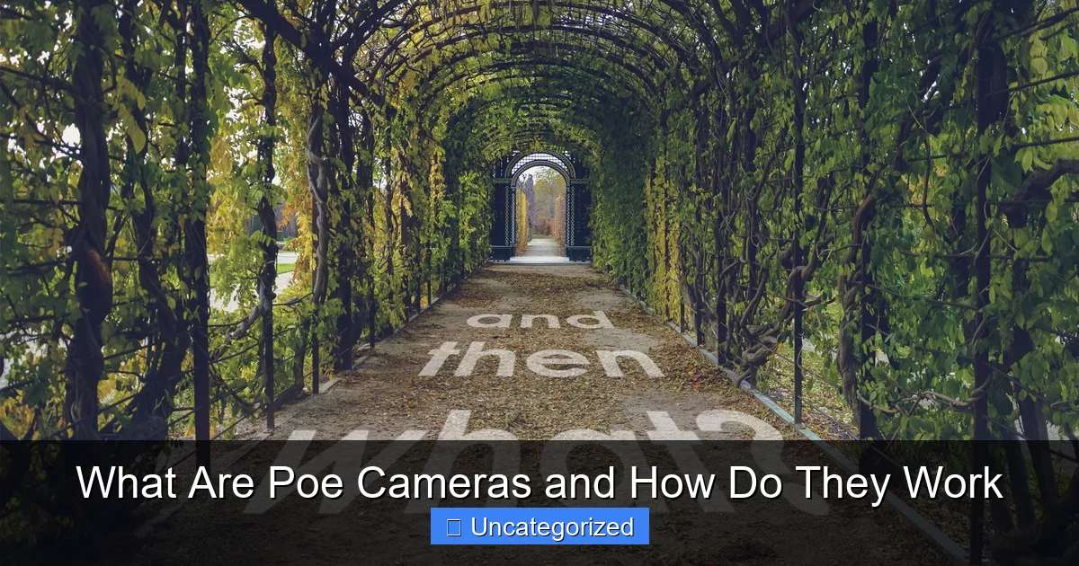 What Are Poe Cameras and How Do They Work