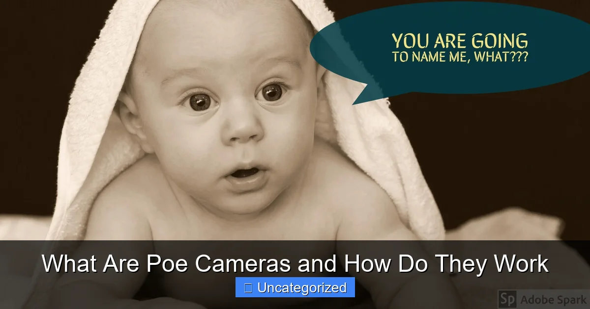 What Are Poe Cameras and How Do They Work