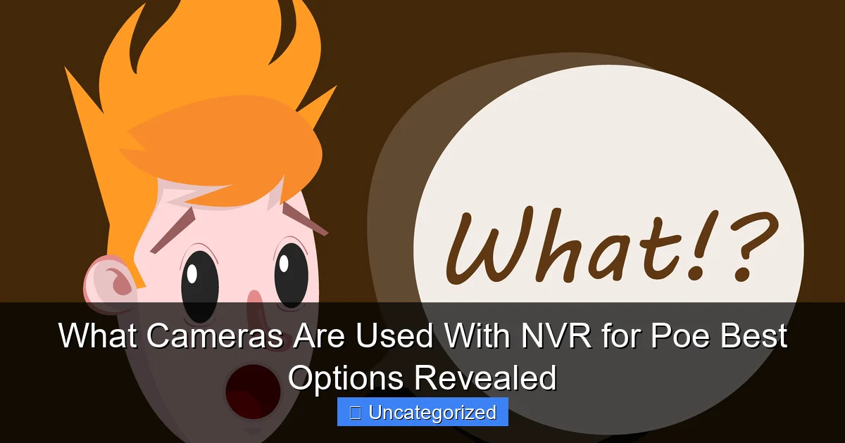 What Cameras Are Used With NVR for Poe Best Options Revealed