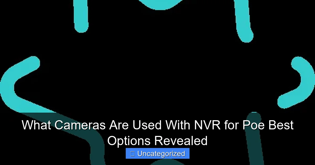 What Cameras Are Used With NVR for Poe Best Options Revealed