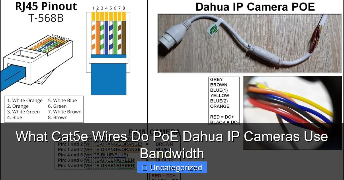 What Cat5e Wires Do PoE Dahua IP Cameras Use Bandwidth