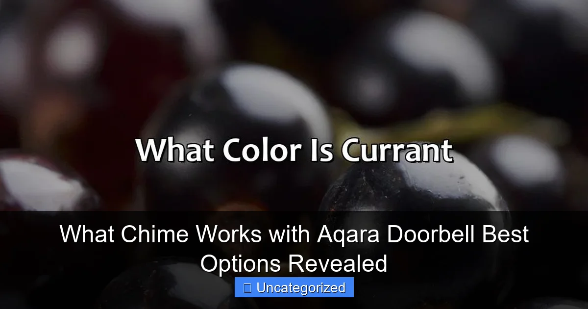 What Chime Works with Aqara Doorbell Best Options Revealed