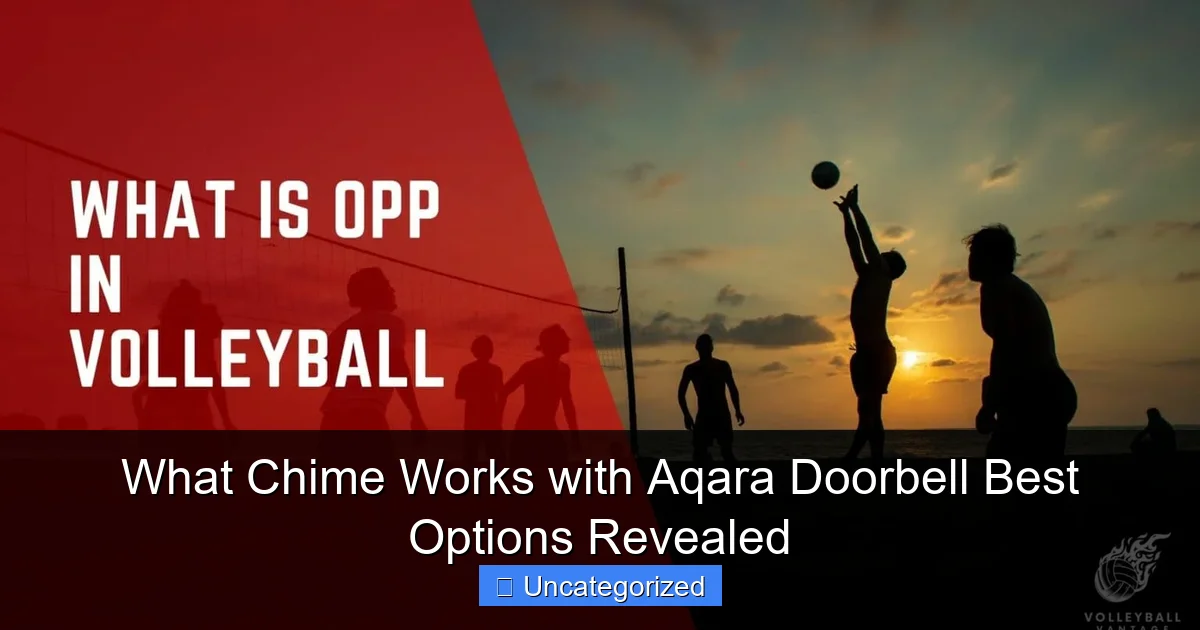 What Chime Works with Aqara Doorbell Best Options Revealed