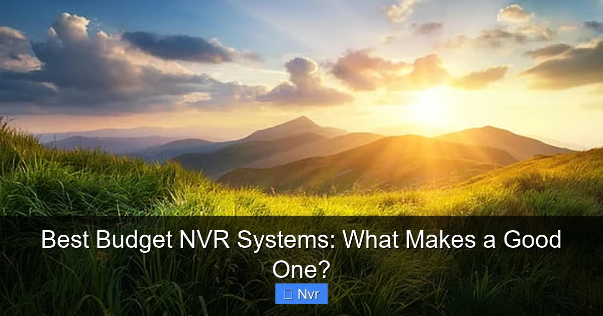 Featured image for Best Budget NVR Systems: What Makes a Good One?