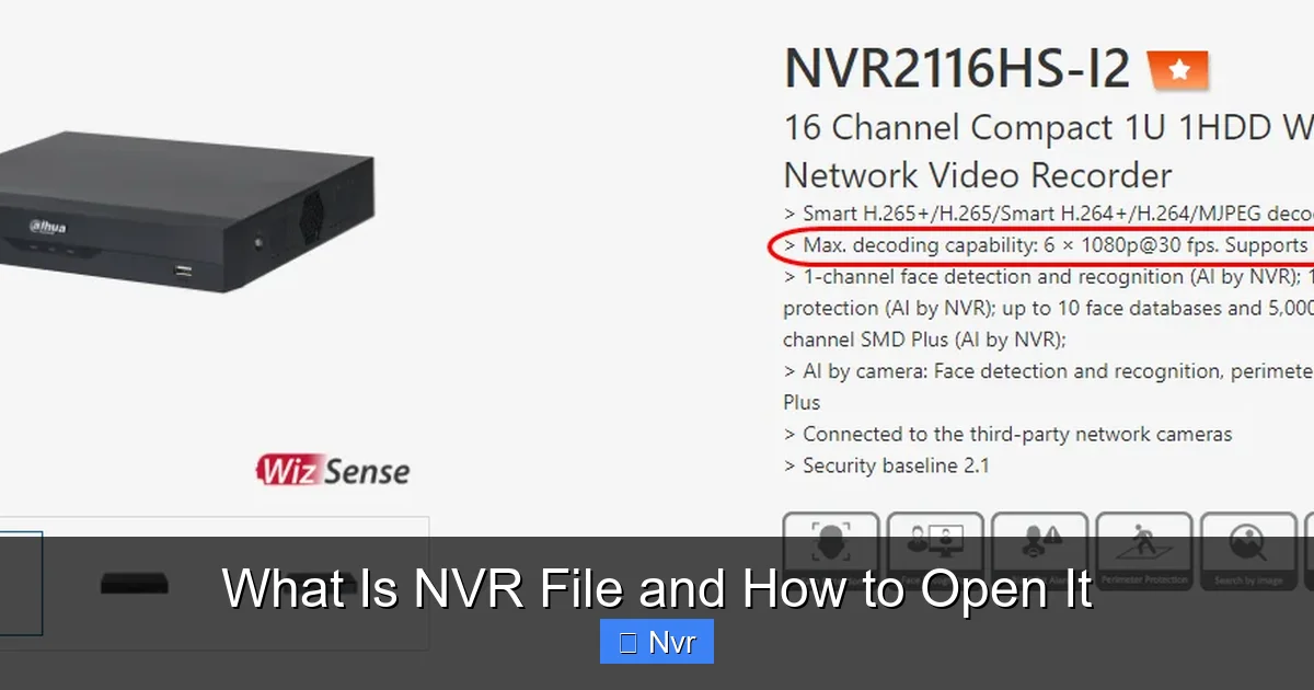 Featured image for What Is NVR File and How to Open It