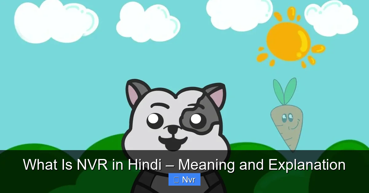 Featured image for What Is NVR in Hindi – Meaning and Explanation