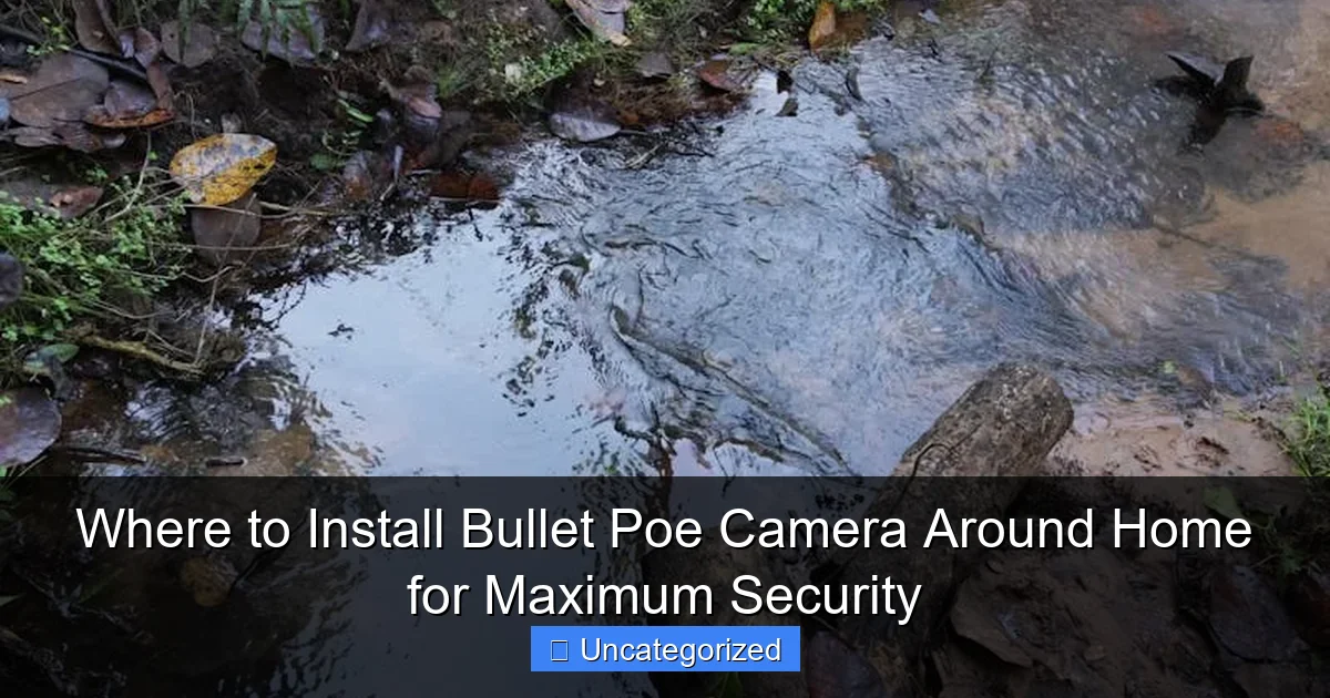 Where to Install Bullet Poe Camera Around Home for Maximum Security