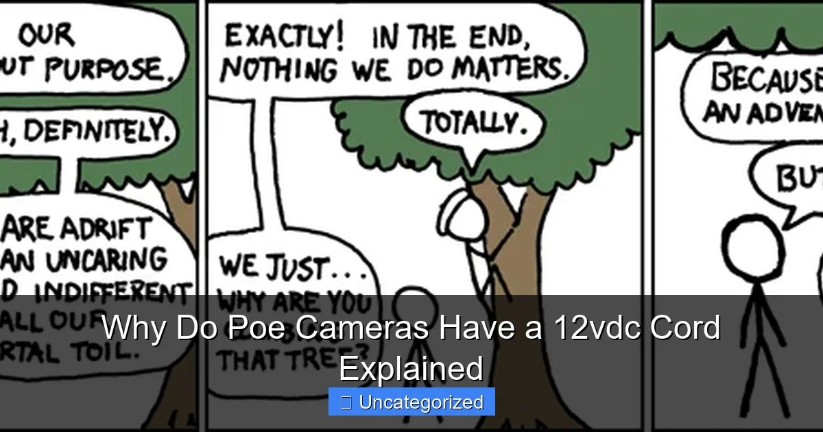 Why Do Poe Cameras Have a 12vdc Cord Explained