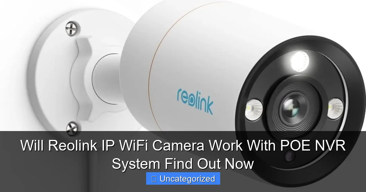 Will Reolink IP WiFi Camera Work With POE NVR System Find Out Now