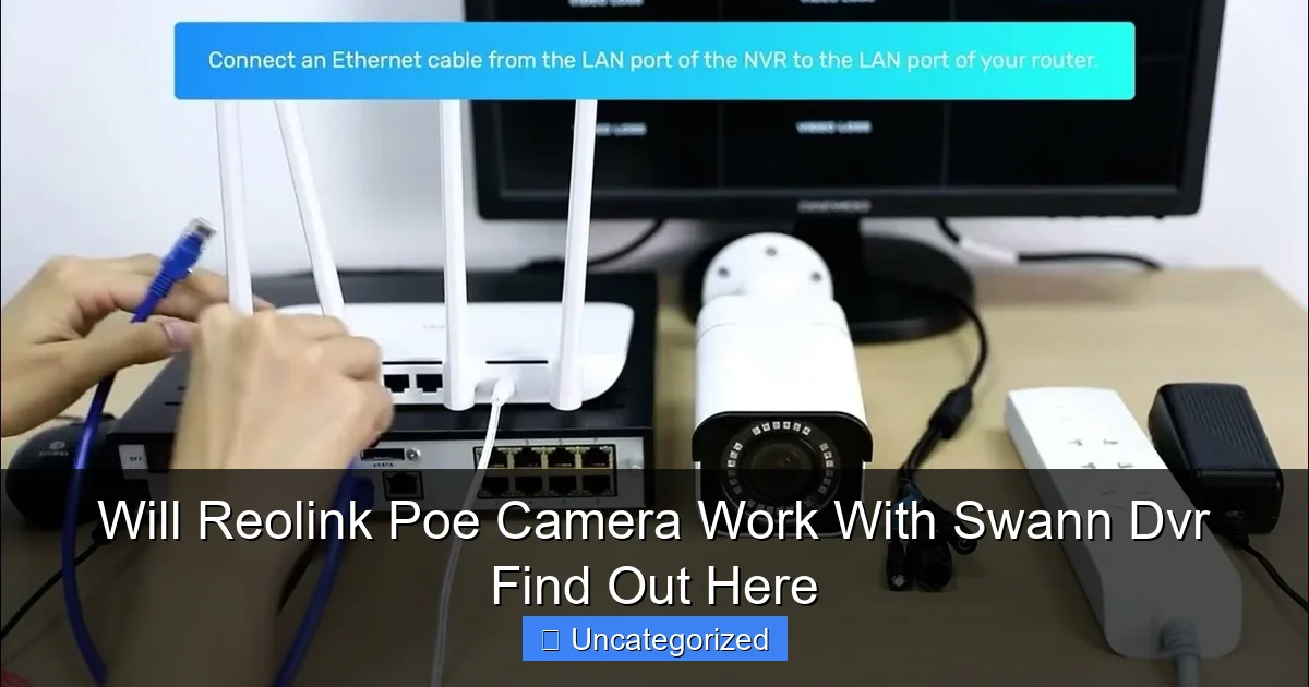 Will Reolink Poe Camera Work With Swann Dvr Find Out Here