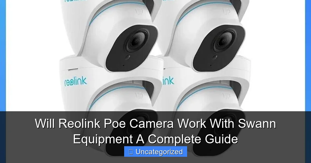 Will Reolink Poe Camera Work With Swann Equipment A Complete Guide