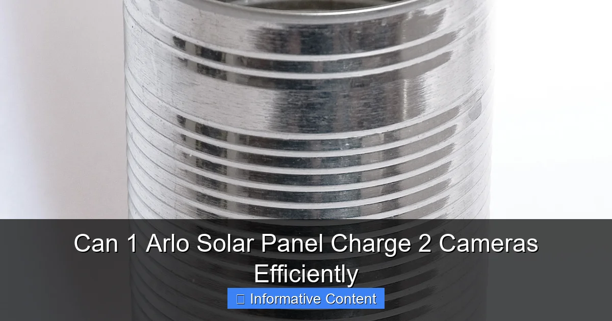 Can 1 Arlo Solar Panel Charge 2 Cameras Efficiently