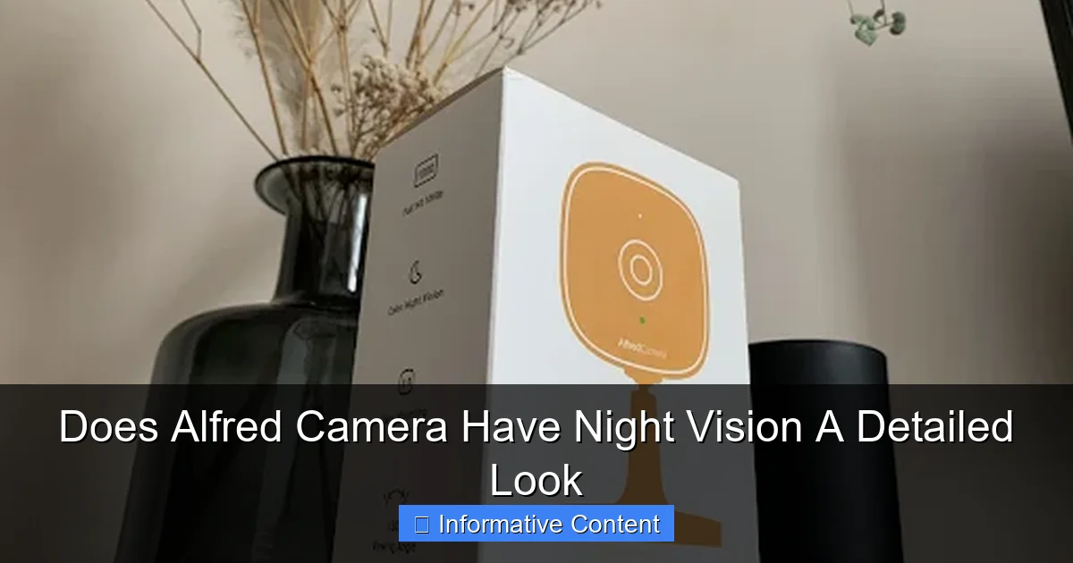 Does Alfred Camera Have Night Vision A Detailed Look