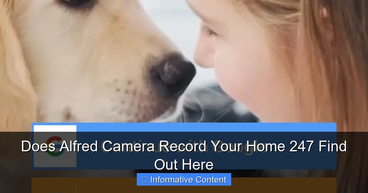 Does Alfred Camera Record Your Home 247 Find Out Here