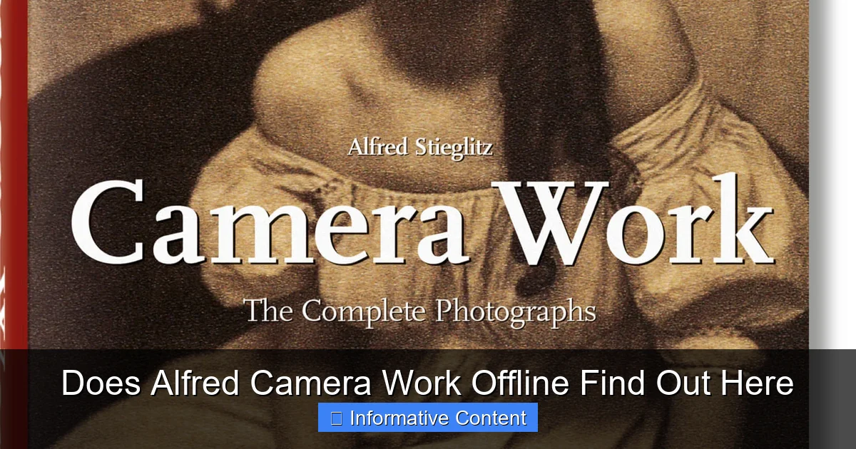 Does Alfred Camera Work Offline Find Out Here