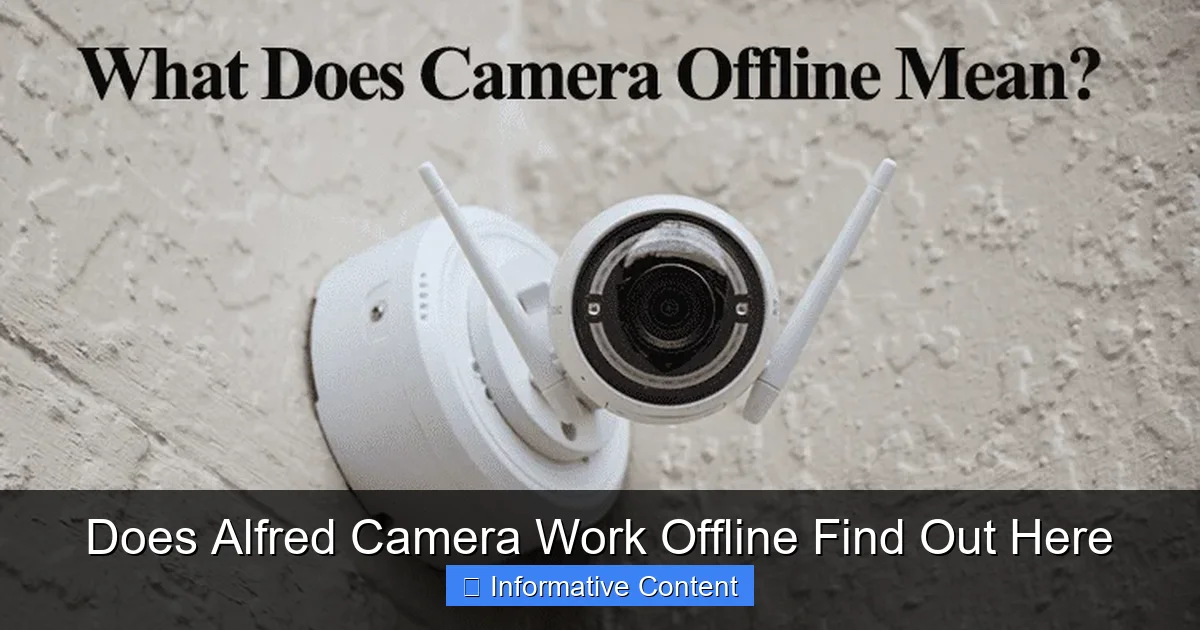 Does Alfred Camera Work Offline Find Out Here