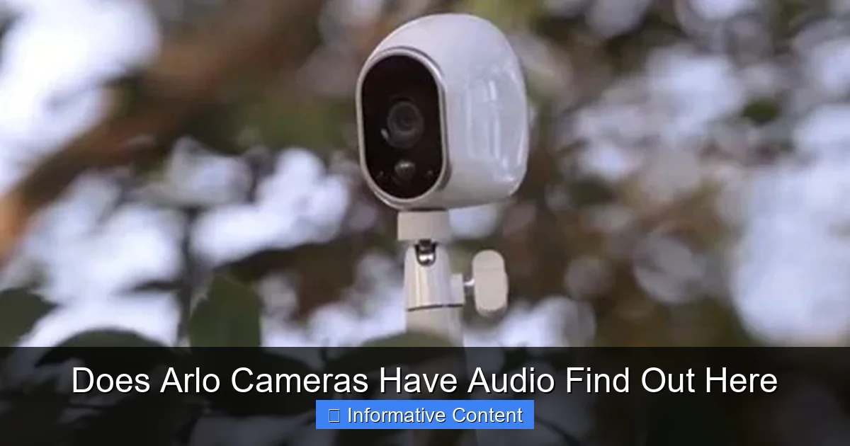 Does Arlo Cameras Have Audio Find Out Here