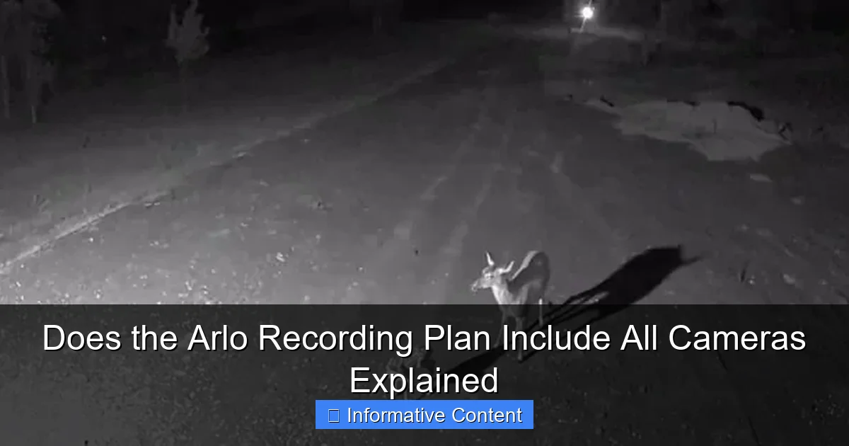 Does the Arlo Recording Plan Include All Cameras Explained