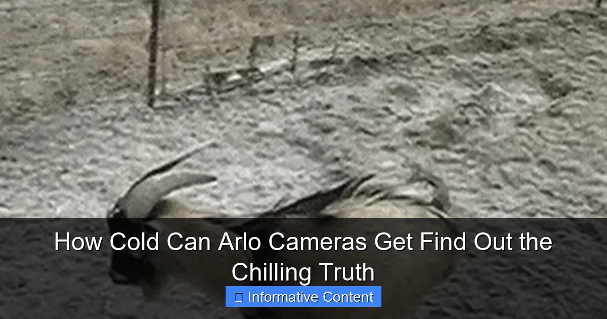 How Cold Can Arlo Cameras Get Find Out the Chilling Truth