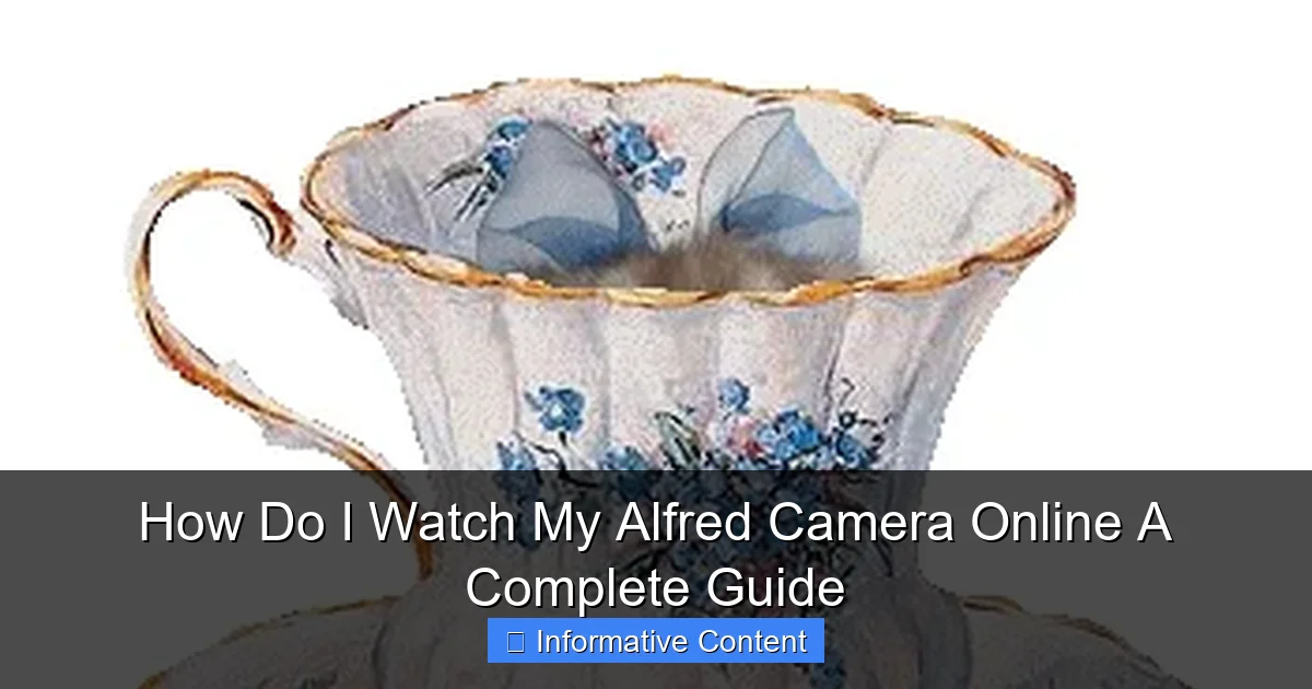 How Do I Watch My Alfred Camera Online A Complete Guide