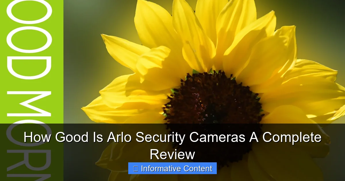 How Good Is Arlo Security Cameras A Complete Review