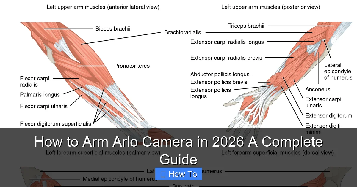 How to Arm Arlo Camera in 2026 A Complete Guide