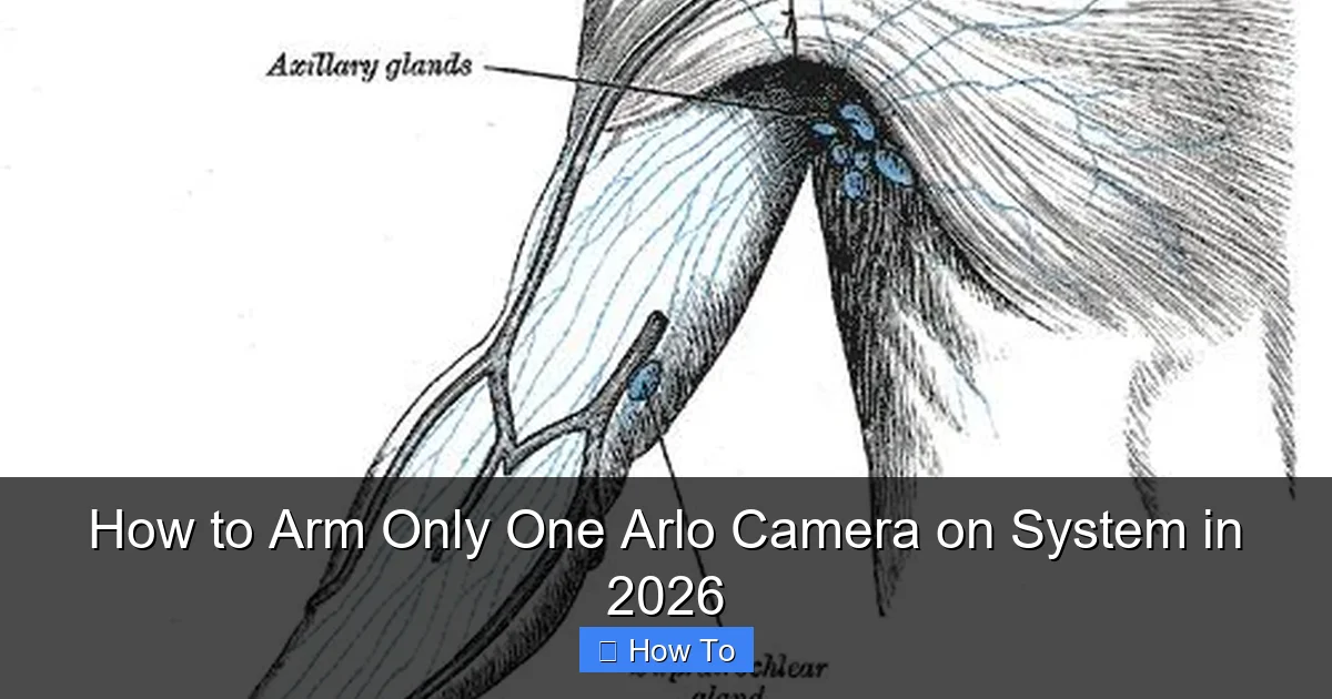 How to Arm Only One Arlo Camera on System in 2026