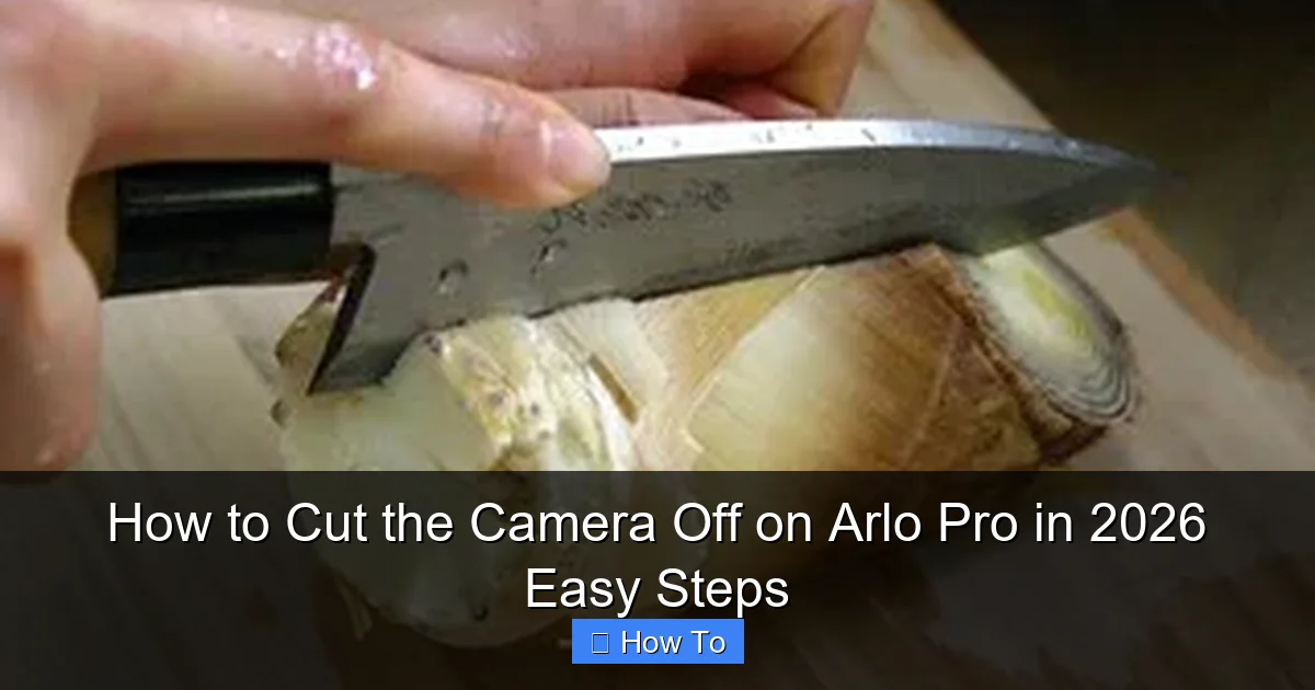 How to Cut the Camera Off on Arlo Pro in 2026 Easy Steps