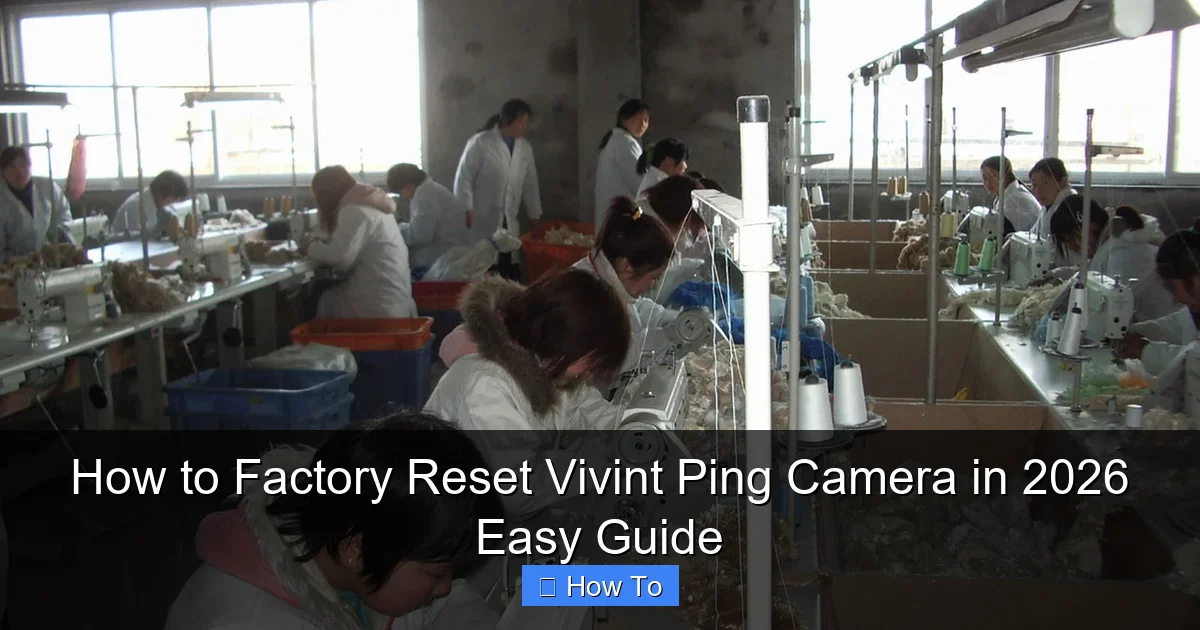 How to Factory Reset Vivint Ping Camera in 2026 Easy Guide