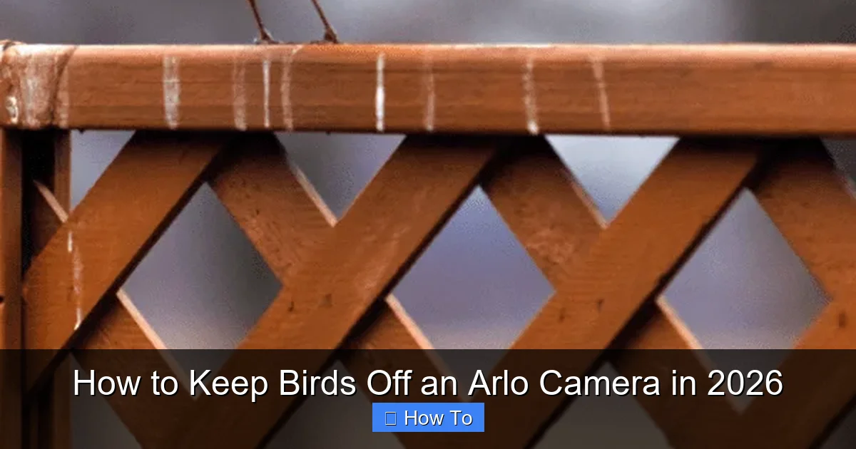 How to Keep Birds Off an Arlo Camera in 2026