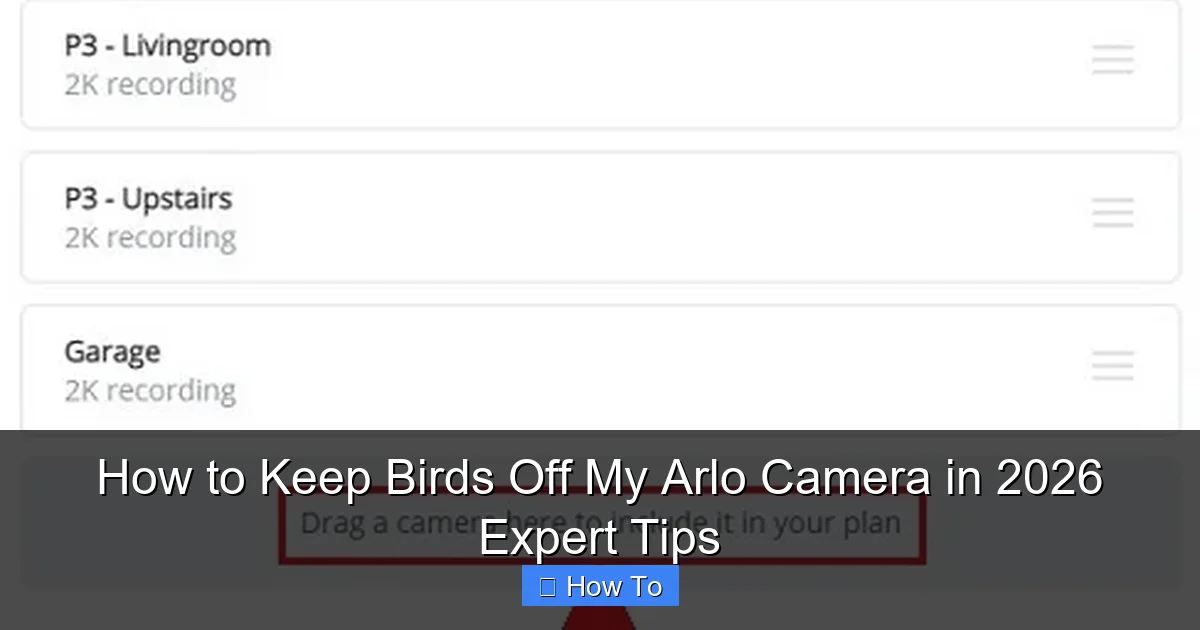 How to Keep Birds Off My Arlo Camera in 2026 Expert Tips