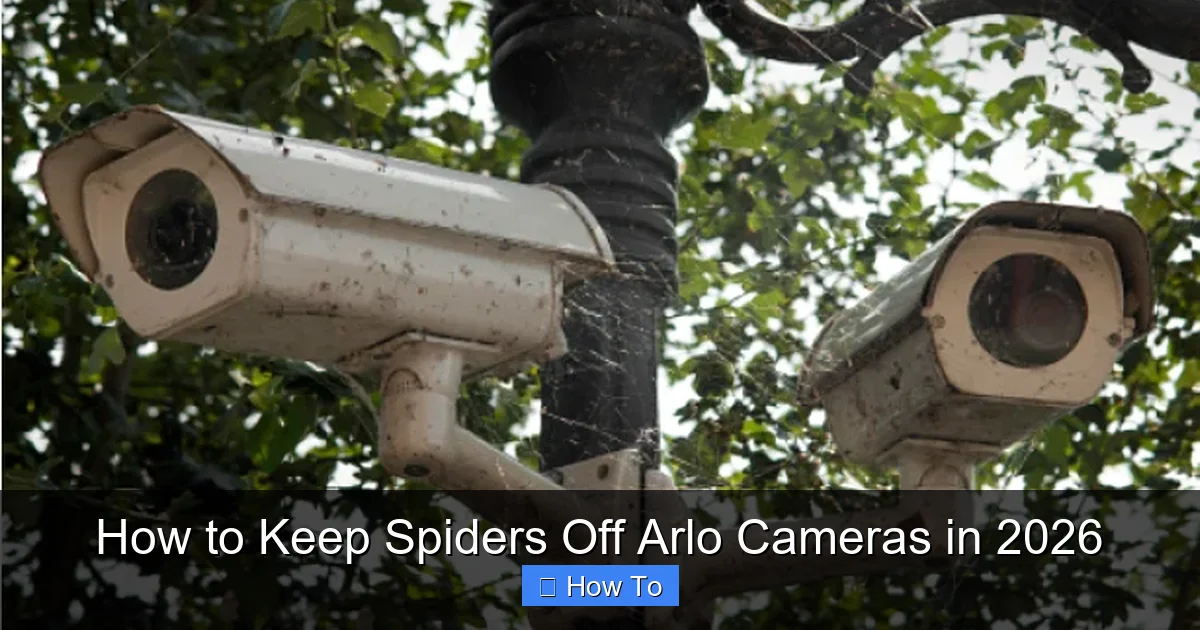 How to Keep Spiders Off Arlo Cameras in 2026