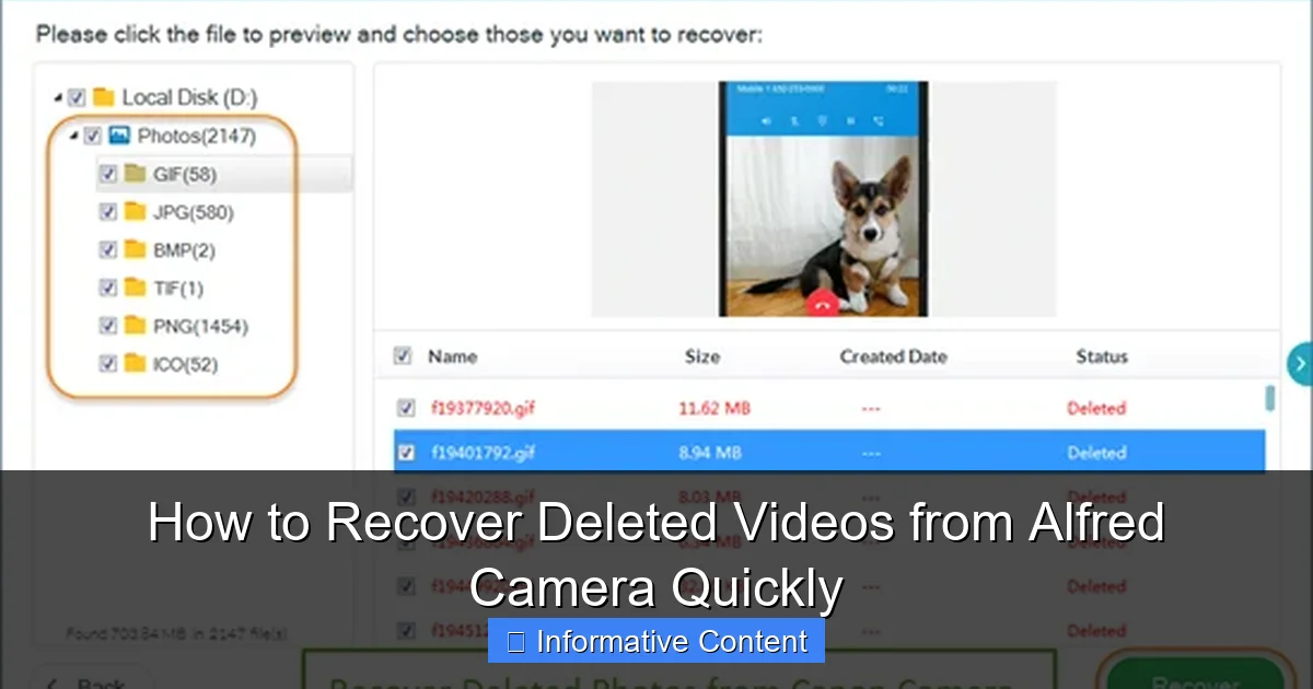 How to Recover Deleted Videos from Alfred Camera Quickly