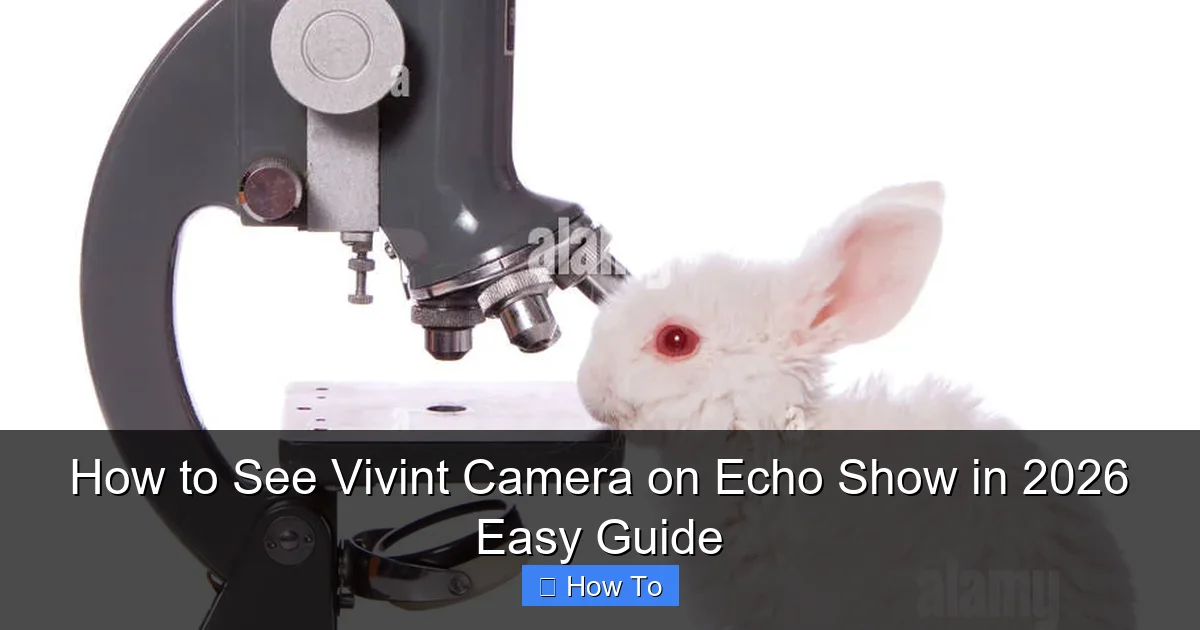 How to See Vivint Camera on Echo Show in 2026 Easy Guide