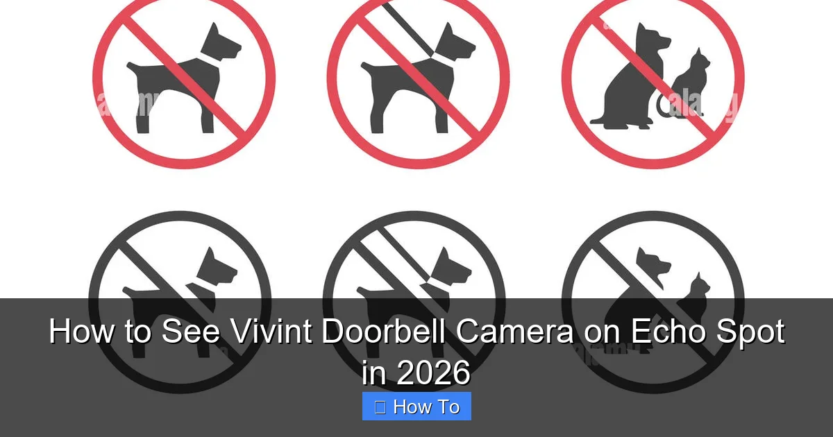 How to See Vivint Doorbell Camera on Echo Spot in 2026