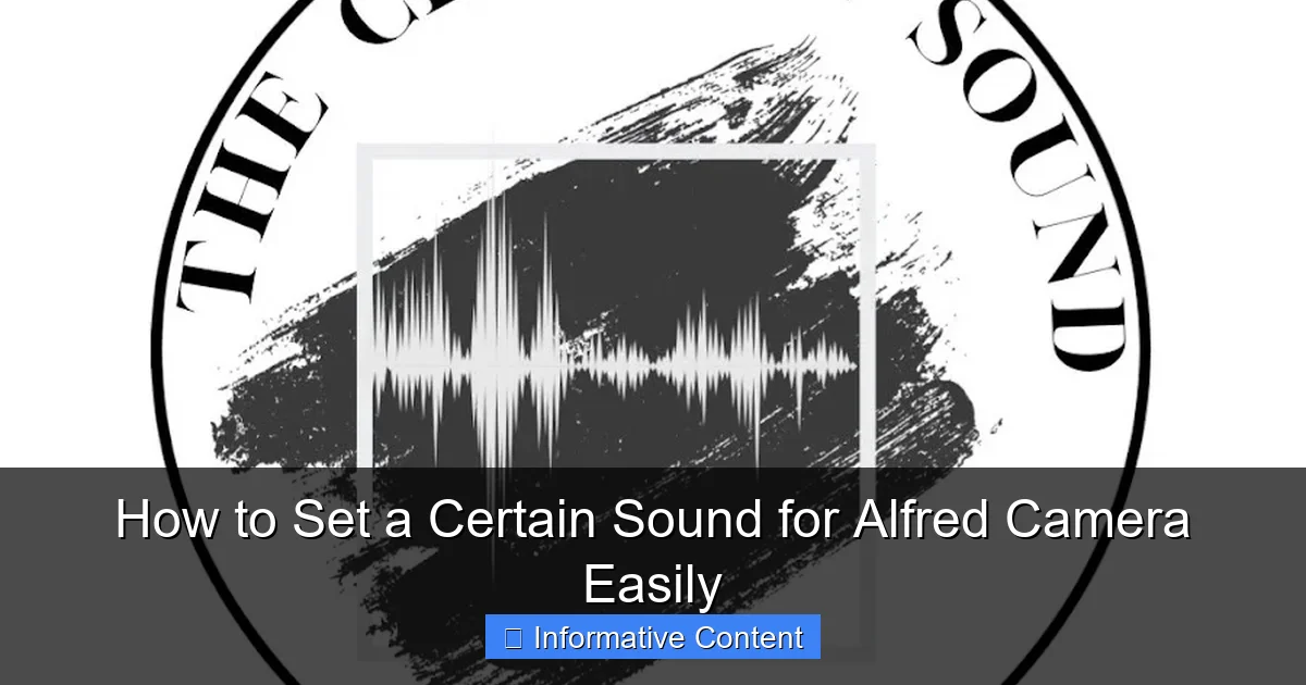 How to Set a Certain Sound for Alfred Camera Easily