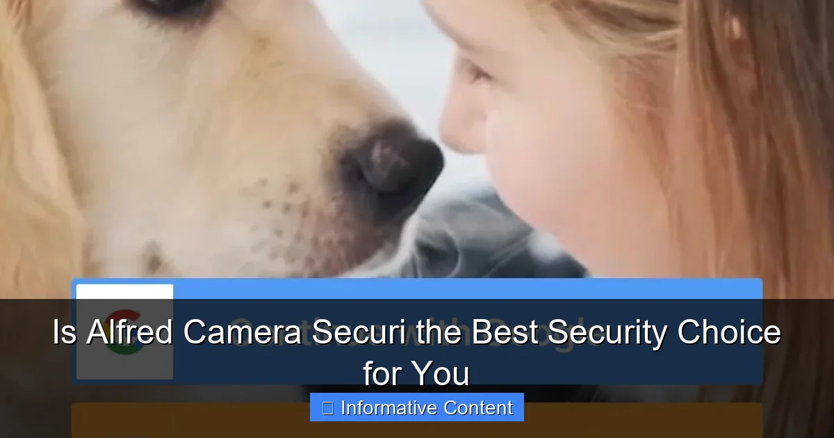 Is Alfred Camera Securi the Best Security Choice for You