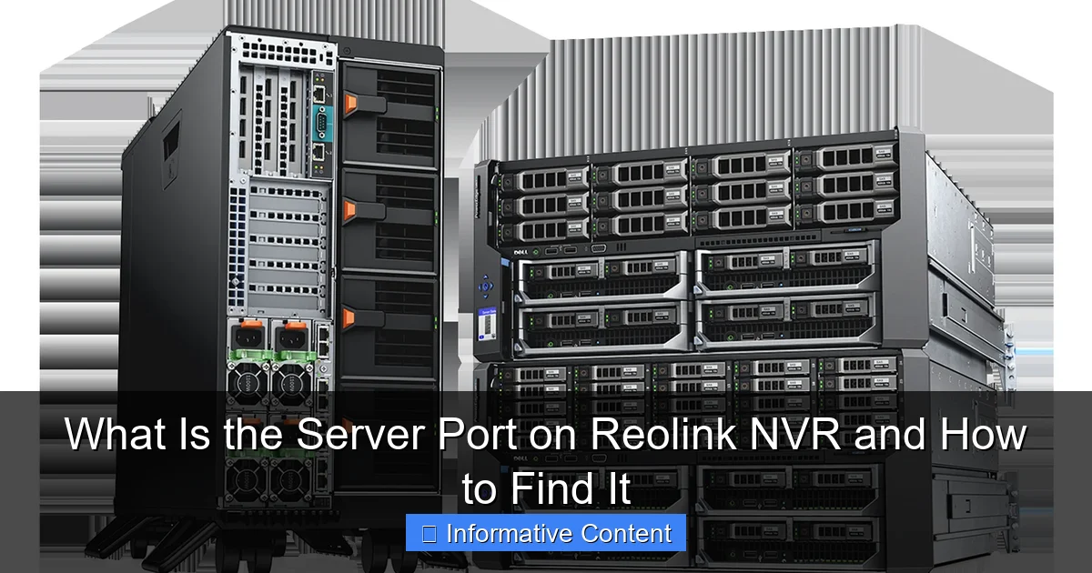 What Is the Server Port on Reolink NVR and How to Find It