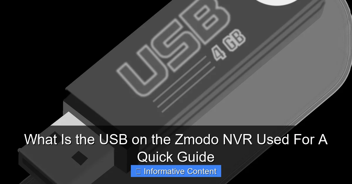 What Is the USB on the Zmodo NVR Used For A Quick Guide