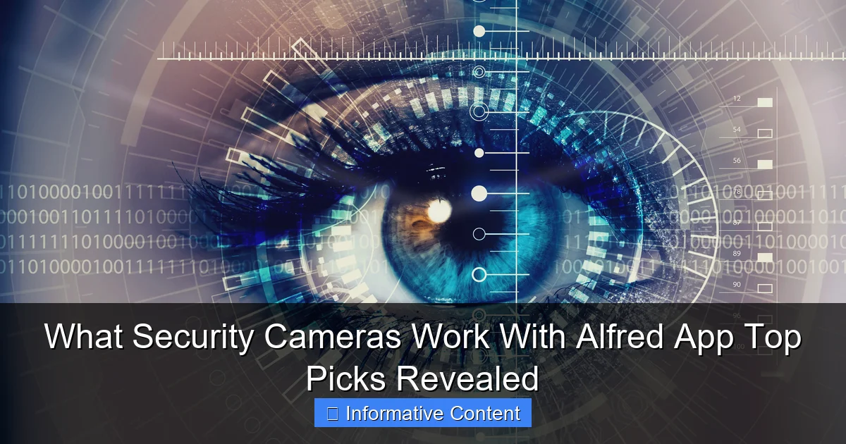 What Security Cameras Work With Alfred App Top Picks Revealed