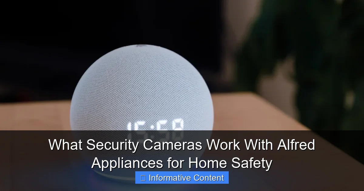 What Security Cameras Work With Alfred Appliances for Home Safety