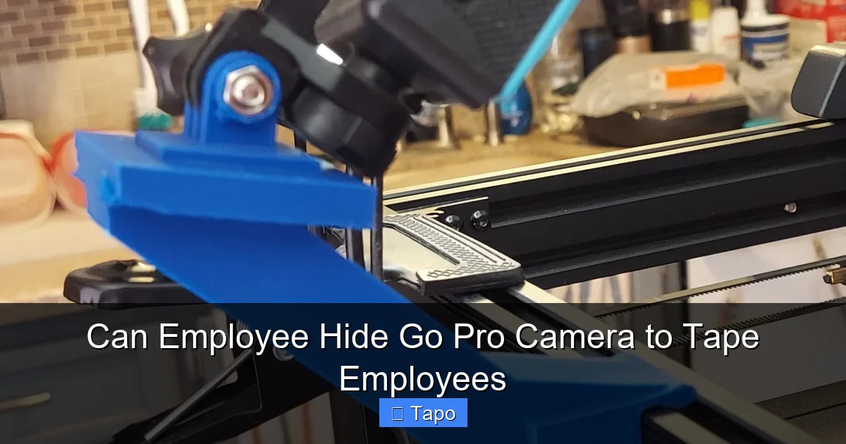 Can Employee Hide Go Pro Camera to Tape Employees