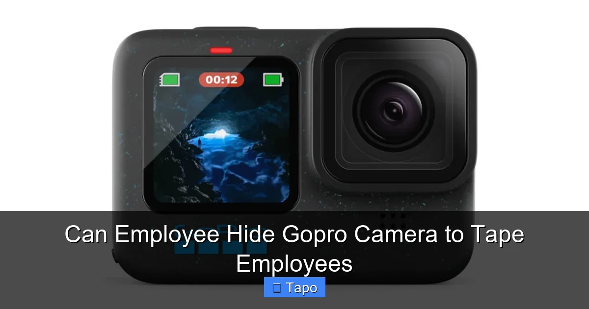Can Employee Hide Gopro Camera to Tape Employees