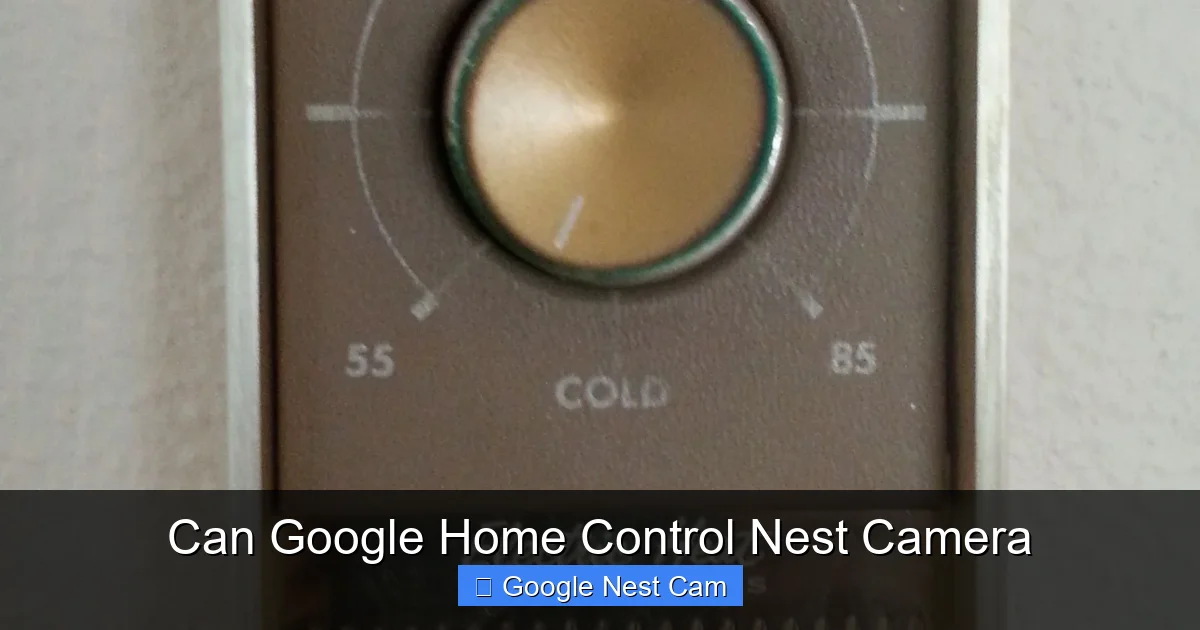 Can Google Home Control Nest Camera