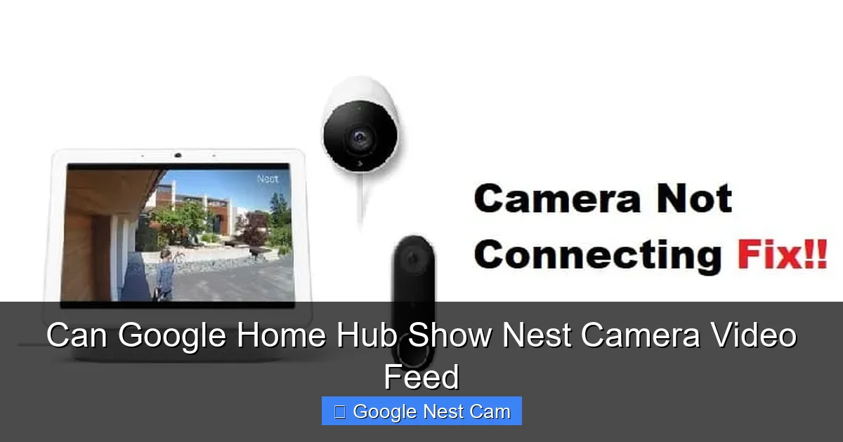 Can Google Home Hub Show Nest Camera Video Feed