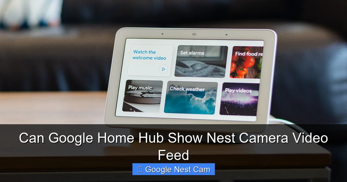 Can Google Home Hub Show Nest Camera Video Feed