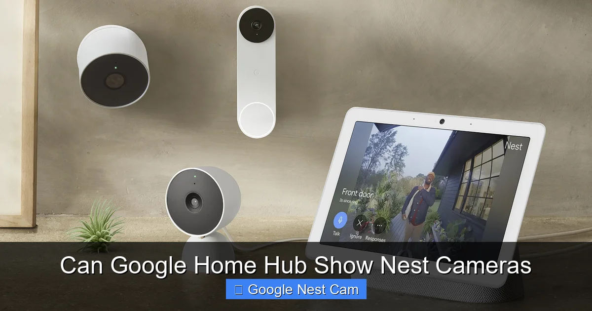 Can Google Home Hub Show Nest Cameras