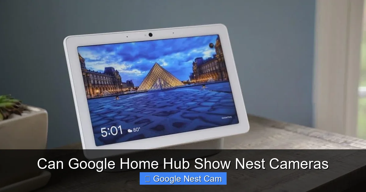 Can Google Home Hub Show Nest Cameras