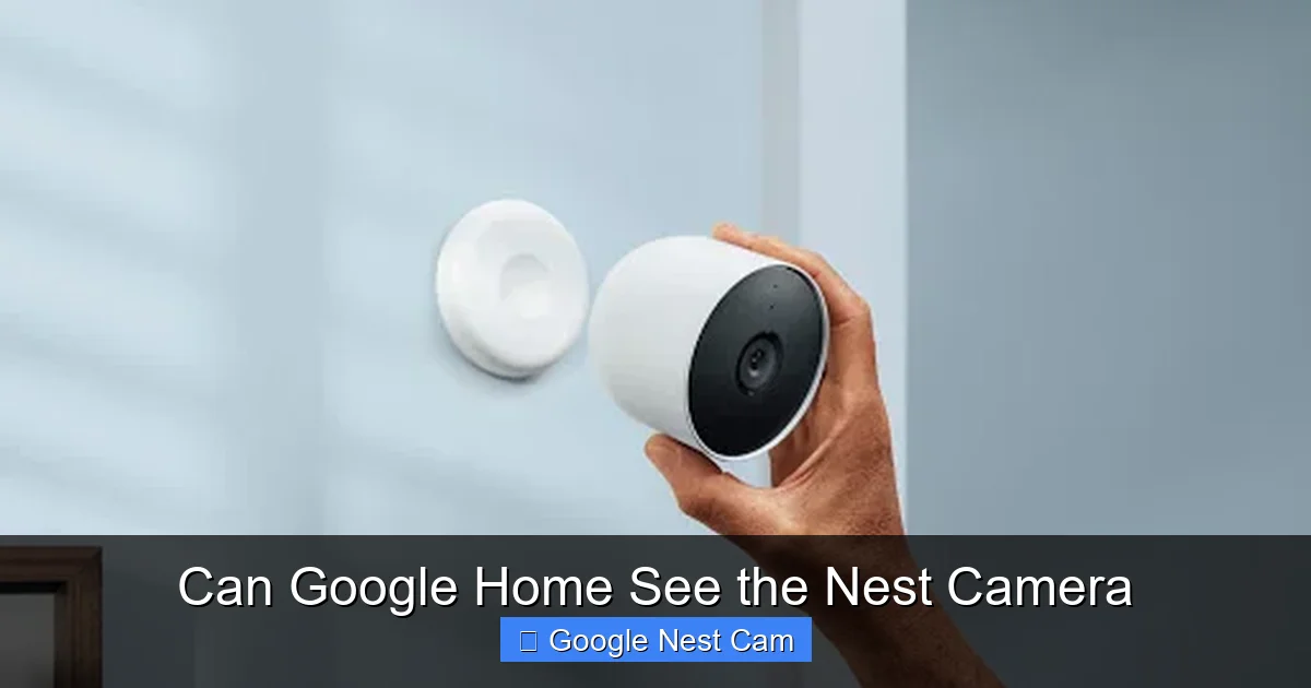 Can Google Home See the Nest Camera
